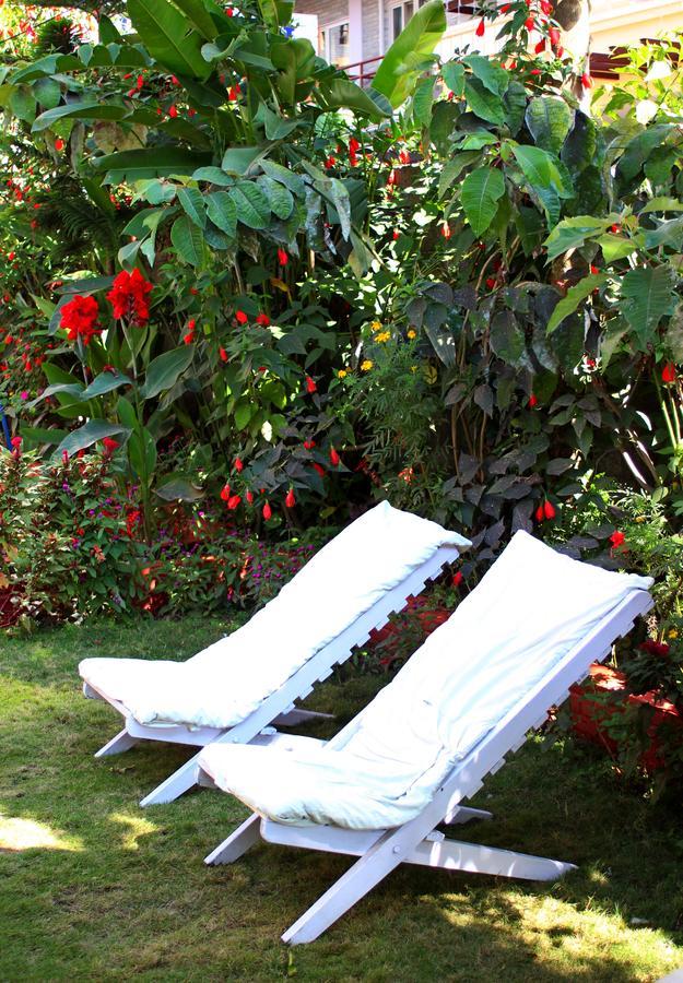 Hotel Angel Pokhara Extérieur photo