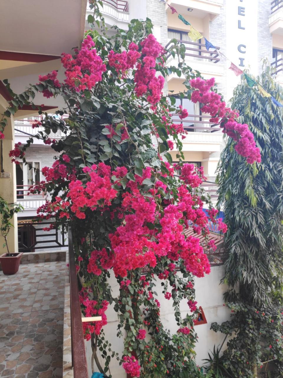 Hotel Angel Pokhara Extérieur photo